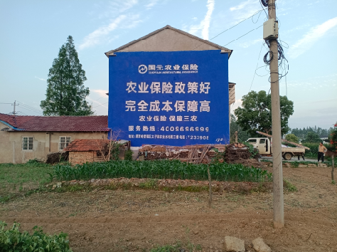 盐亭墙体广告的优劣势你知道吗？