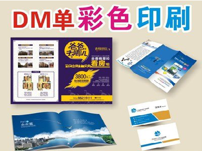 盐亭单页印刷，色彩搭配简单。